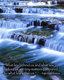 posters from my photographs with inspirational sayings - 24"x36" frame size $60 Ranunculus