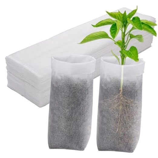 13.5-inch deep biodegradable non-woven nursery grow bags with seedlings