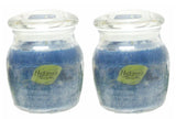 Scented Jar Candles Hydrangea Blossoms (2-Pack ) Nature's Finest 9oz Jars Hydrangea