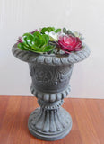 3 Colors Small Snow Lotus Lifelike Artificial Plastic Desert Succulents Green Plant