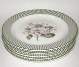 Martha Stewart HYDRANGEA Set of 5 Salad Plates Excellent Condition Hydrangea