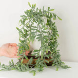 Artificial Dusty Green Osmunda Royal Fern 30" Cascading Vine Green Plant