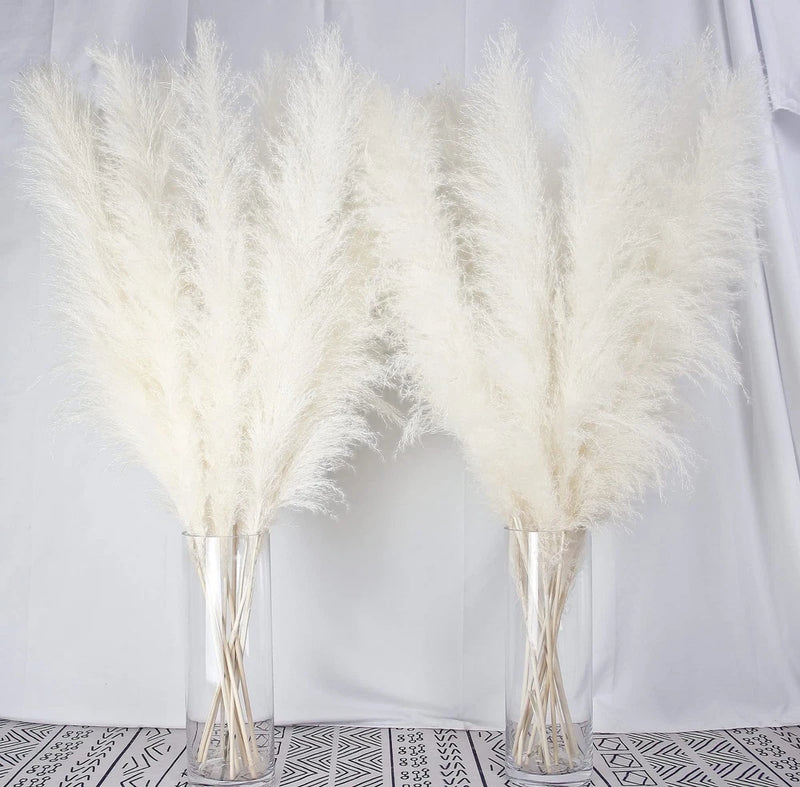 10 Stems 40-inch White Pampas Grass Decor Tall, Large Pampas Grass, Boho Neut... Pampas Grass
