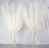10 Stems 40-inch White Pampas Grass Decor Tall, Large Pampas Grass, Boho Neut... Pampas Grass