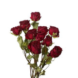 Natural Dried Flowers Bouquet, 10 Pcs Red Dried Roses Bouquet for Decoration Dried Flower
