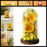 Real Preserved Sunflowers in Glass Dome - Unique Gifts for Women, Mom, Grandma Sunflower