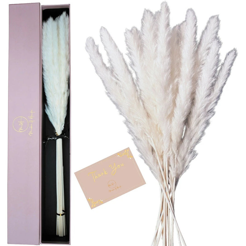 Make It Haute 24" Ivory White Natural Dried Pampas Grass Pampas Grass