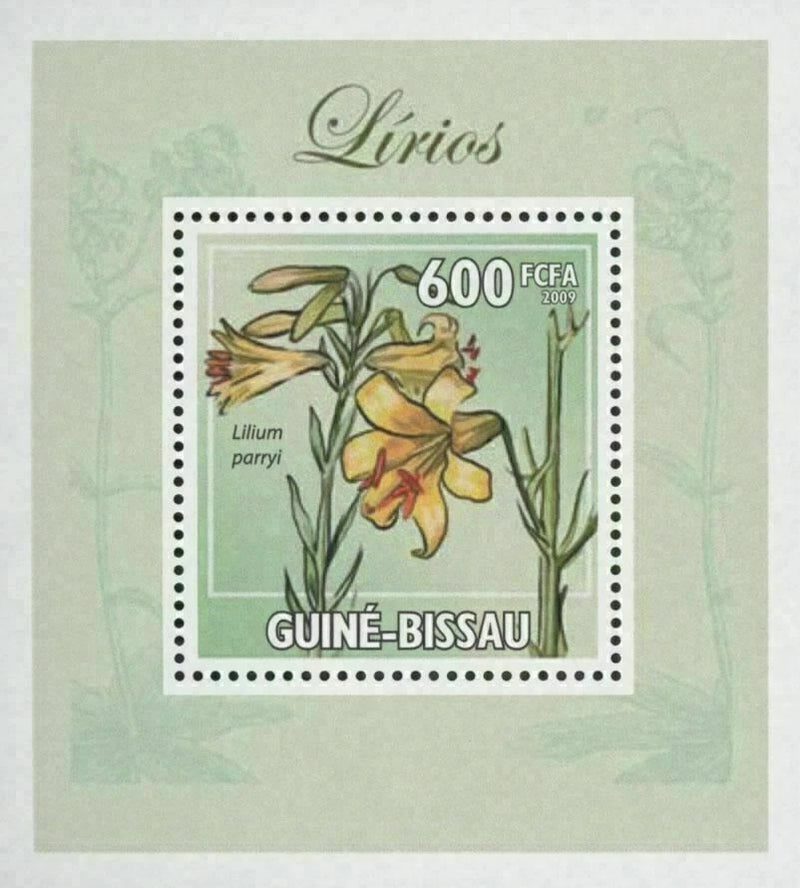 Postage stamp mini souvenir sheet with lily flowers, Guine-Bissau 600 FCFA