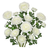 Ranunculus Artificial Flowers Bouquets, Set of 5 25.9'' Long Stems Faux White Ranunculus