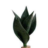 Realistic Soft PVC Snake Plant Artificial Greenery for Living Room Office Decor Green Plant
