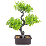 Bonsai Tree Plastic Artificial Bonsai Plants Indoor Small Fake Plant Decorati... Green Plant