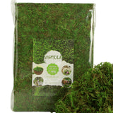 Fake Moss for Potted Plants Indoor, 2LBS Large Capacity Artificial Green Moss... Green Plant