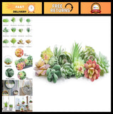 12 Pcs Mini Artificial Succulents - Unpotted Faux Plants for Crafts & Decor Green Plant