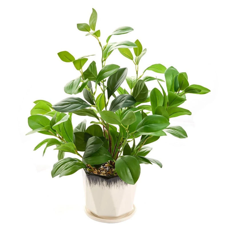 Artificial evergreen leaf plant in white pot with thick green faux leaves