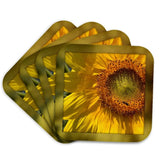 3dRose cst_32648_1 Framed Yellow Sunflower Flowers Photography-Soft Coasters,... Sunflower