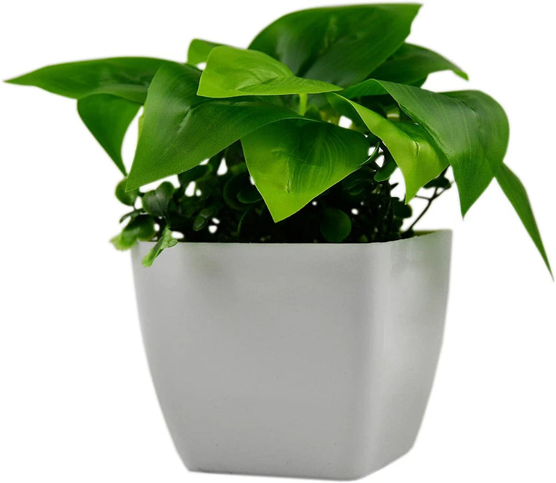 Artificial Plants Pack of 3 Scindapsus aureus Sweet Potato Leaves (Plastic Pot) Green Plant