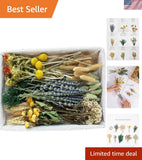DIY Natural Dried Flower Set, Bulk Dried Flowers for Vase, Dried Flowers with... Dried Flower