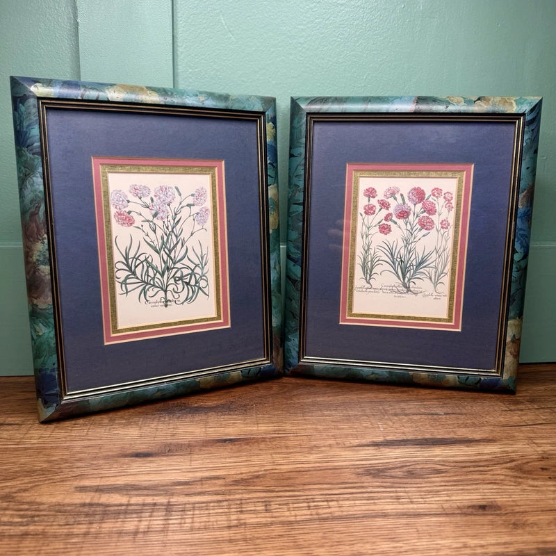 Pair of vintage botanical framed prints with pink carnation flower illustrations