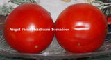 20 Delicious Heirloom Tomato Seeds "Plus 2 Packs of Vegetable Seeds Garden Plants