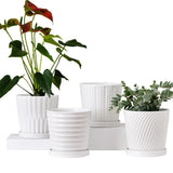 Ton Sin Plant Pots,White 6 Inch Flower Pots for Plants,Ceramic Planter with D... Garden Plants