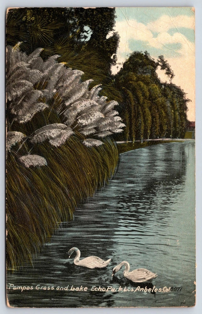 California Los Angeles Pampas Grass and Lake Echo Park Vintage Postcard POSTED Pampas Grass