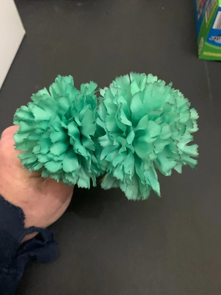 Vintage St. Patrick's Day Plastic Carnation Lapel Flower Set of 2 Carnation