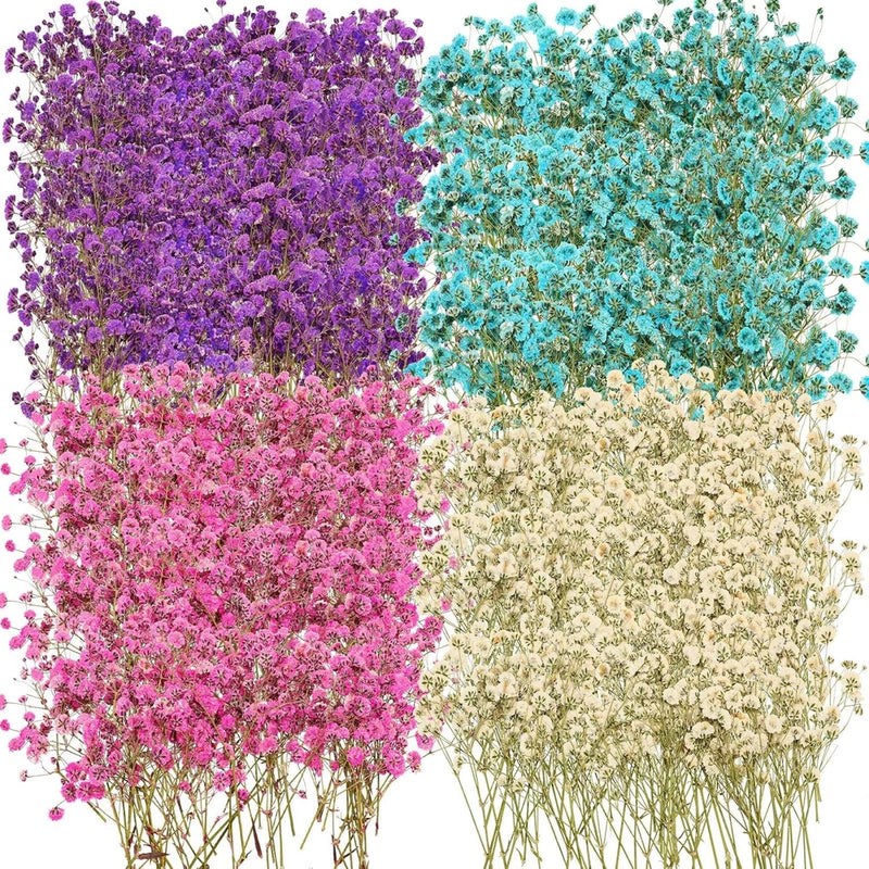 Preserved dried baby's breath flower bunches, multi-color purple, teal, pink, white