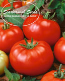 SCARBOROUGH SEEDS Beefsteak Tomato Seeds-ORGANIC -100 SEEDS-SAME DAY SHIPPING Garden Plants