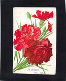 F1861 Flowers Carnations New Year PU1909 to Robin Hood Bay vintage postcard Carnation
