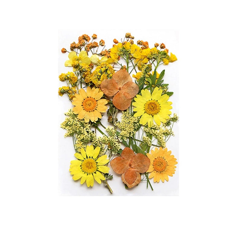Mixed dried flower set with yellow blossoms and brown accents on slender stems
