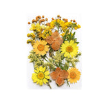 Crafty Dried Flowers Set for DIY Projects and Artistic Home Decor Enhancements Roses