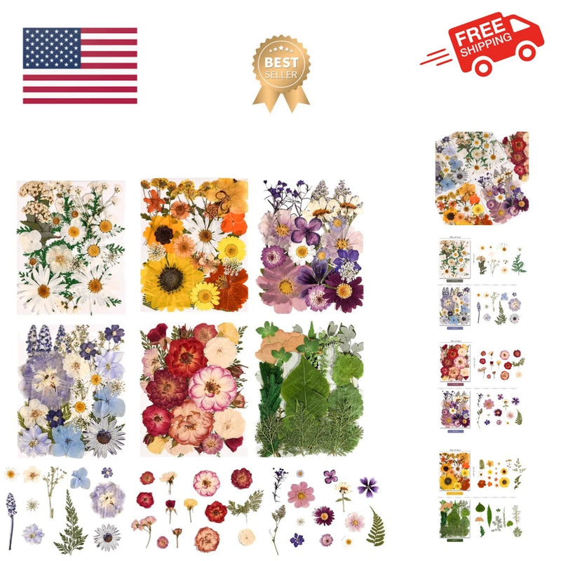 6 Pack 150PCS Real Pressed Dried Flowers Dry Leaves Craft Kit - Natural Dried... Dried Flower