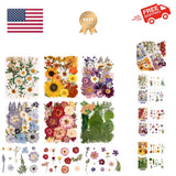 6 Pack 150PCS Real Pressed Dried Flowers Dry Leaves Craft Kit - Natural Dried... Dried Flower