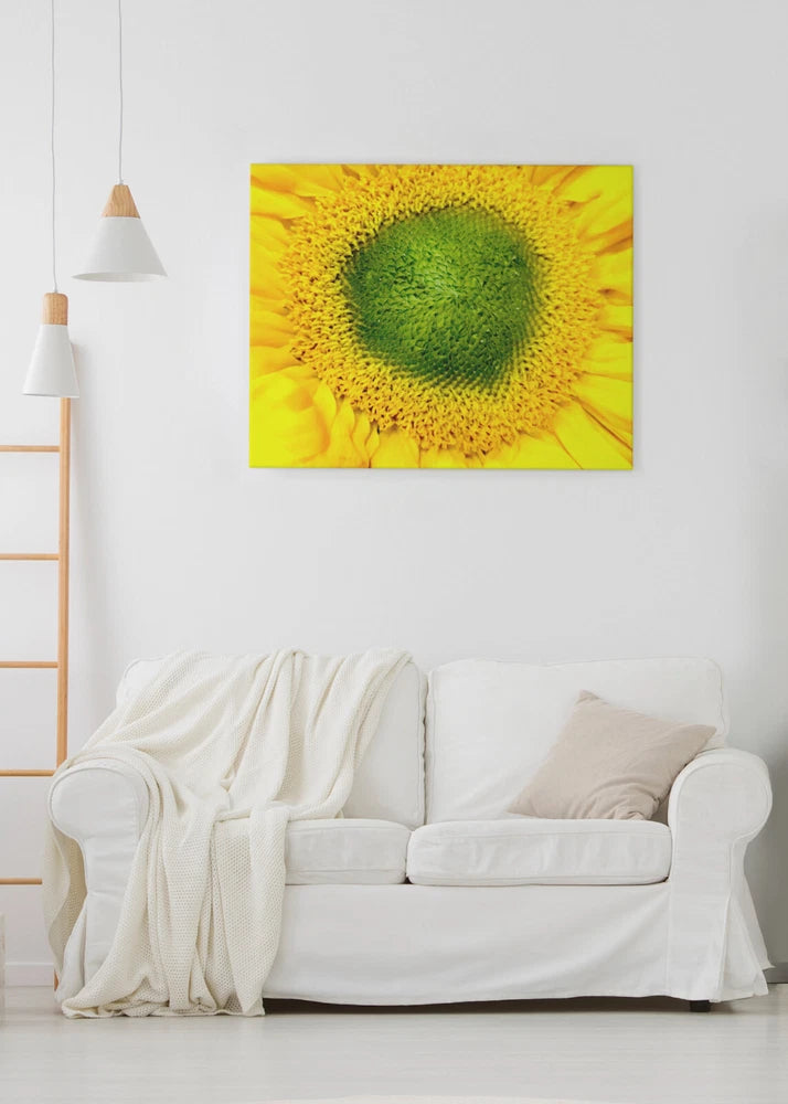"EYE OF THE SUNFLOWER" 4x6 " MATTED AND FRAMED PHOTO PRINT, READY TO HANG Sunflower