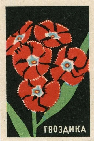 Vintage Carnation Flower Poster - 24x36Ó - Retro Botanical Art __ Rare Reprint Carnation