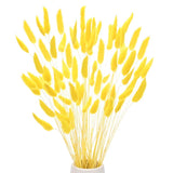 60 PCS Bunny Tails Grass 17 Inch Fluffy Rabbit Dried Flowers Branches Golden Pampas Grass