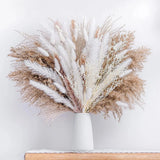 Sanmadrola 80 Pcs Natural Dried Pampas Grass Boho Home Decor Dried Reed Flowers Pampas Grass