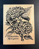 PSX K-1468 Botanical Flower Hydrangea Rubber Stamp Hydrangea