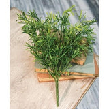 New Primitive Farmhouse ASPARAGUS FERN STEM Bush Pick Herb Branch Greenery Green Plant