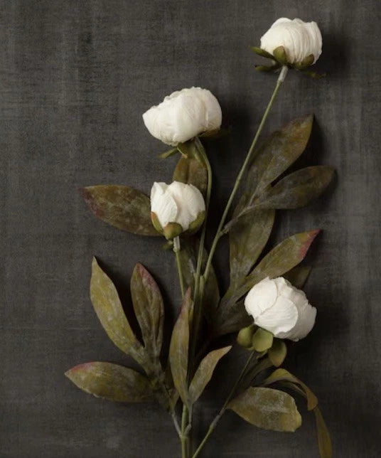 New Set Of 5 Ashland by MichaelÕs 28Ó Cream Peony Stems Peony