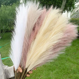 Large Artificial Plant - Pampas Grass Fake Flowers Wedding Bouquet Home Decor Pampas Grass