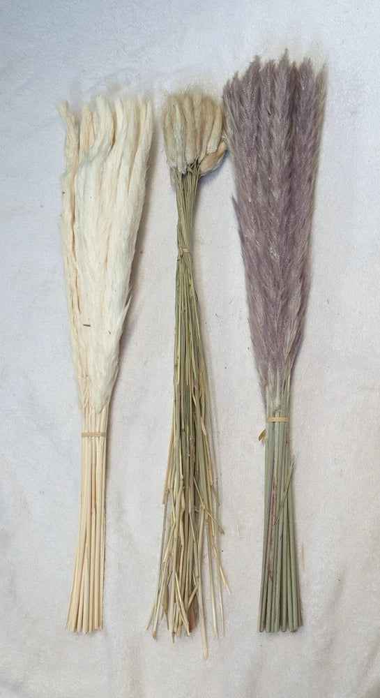 Neig Dried Flower Dried Flower
