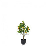 Mini Orange Tree Faux Plants And Trees Green Plant