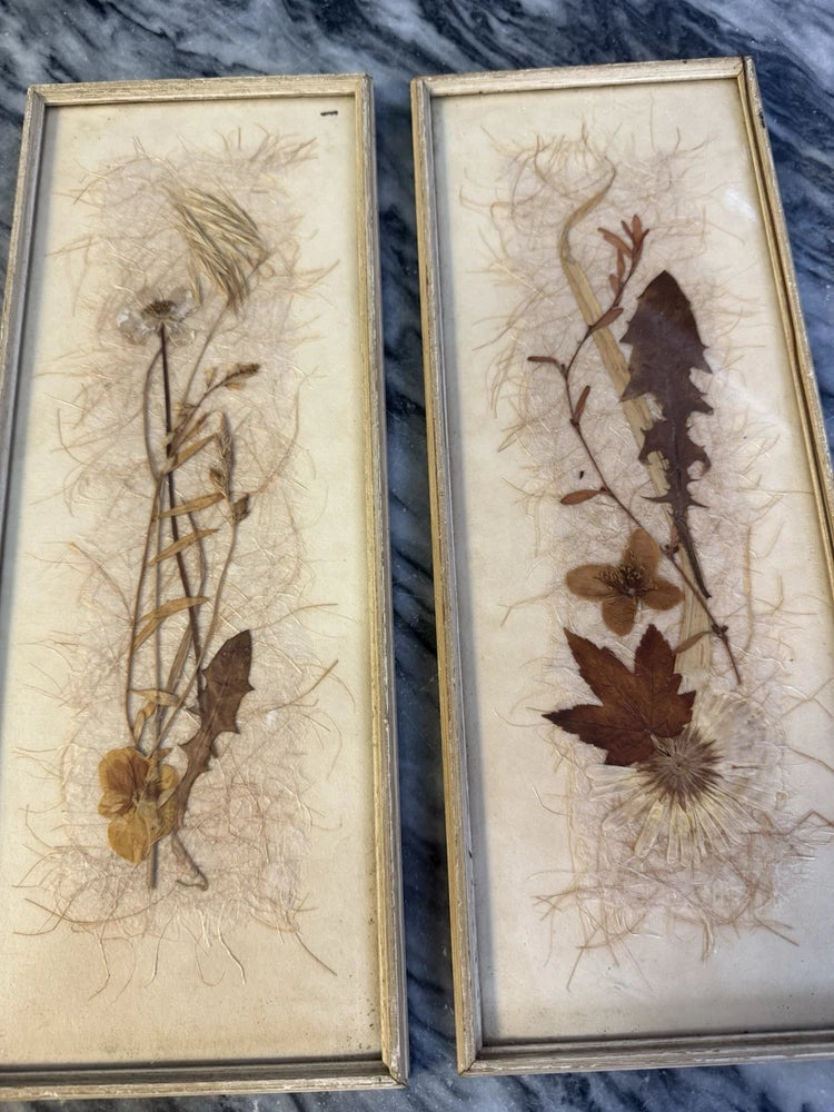 Set of 2 framed botanical wall panels with pressed leaves and dried flowers