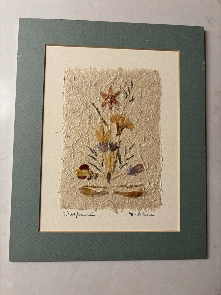 Matted Dried Pressed Flower Art ÒWildflowerÓ Ô91 Signed 8" x 10Ó Dried Flower