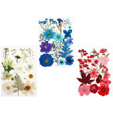 Dried Pressed Flowers Bulk Kit for Epoxy Resin Jewelry Scrapbooking Decor Dried Flower