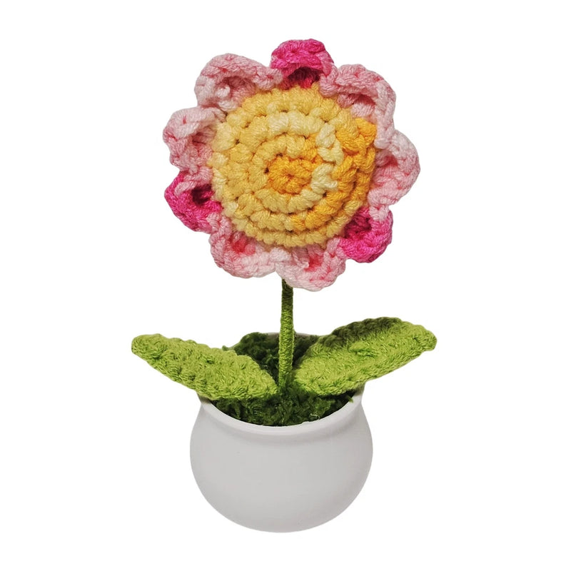 Handmade crochet sunflower in small white pot, pink petals and yellow center on green leaves