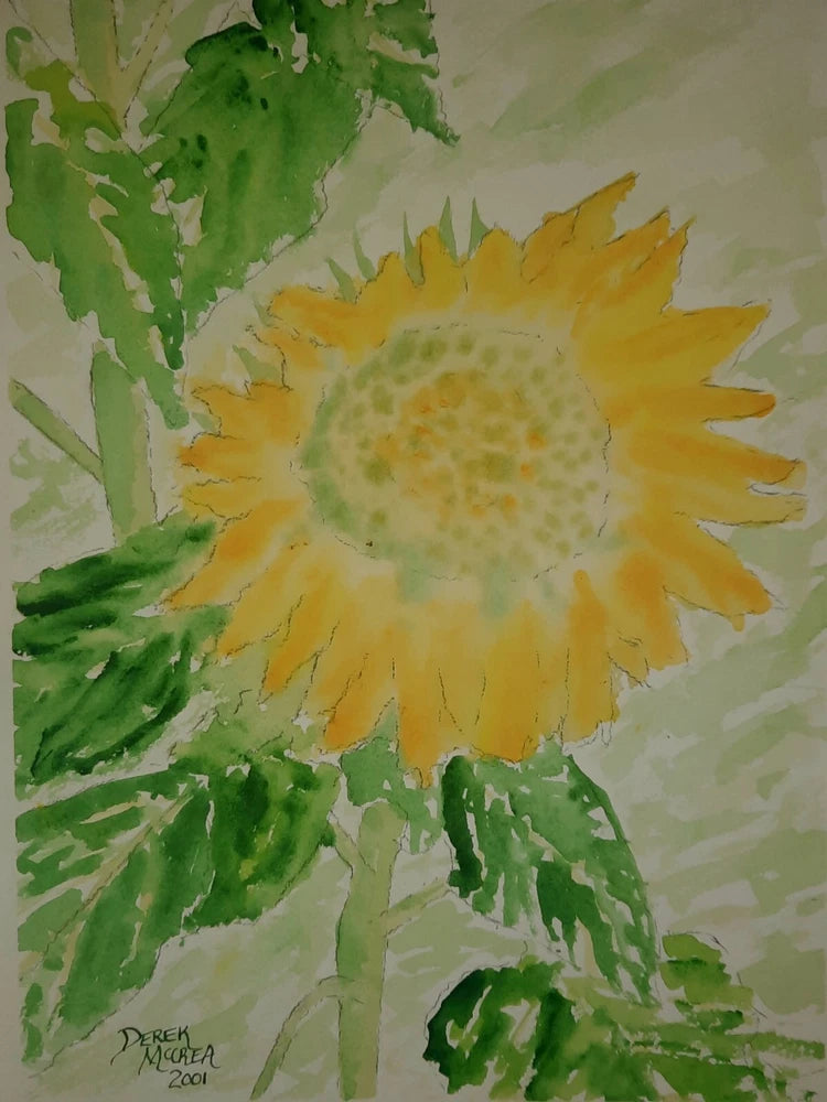 Original signed watercolor painting of a yellow sunflower with green leaves, signed, 11x14 in.