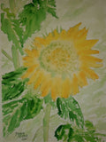Sunflower flower original signed watercolor painting 11 x 14 inches Sunflower