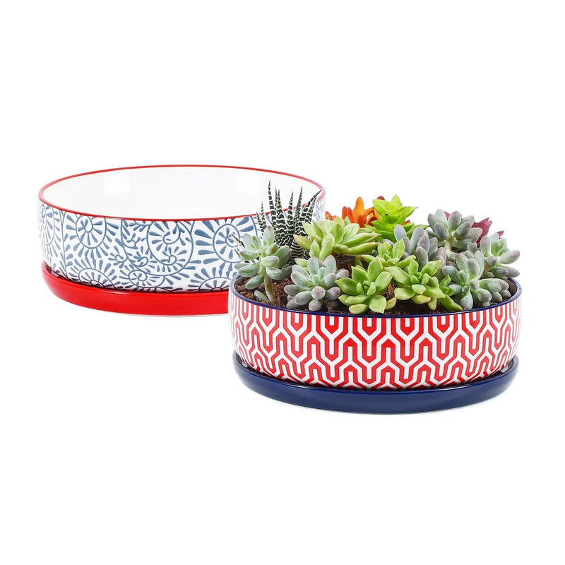 Shallow ceramic succulent planter with red rim and blue geometric pattern, filled with succulents